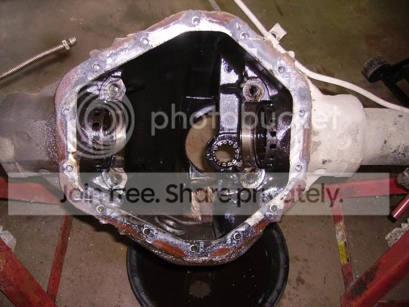 PICT0781.jpg