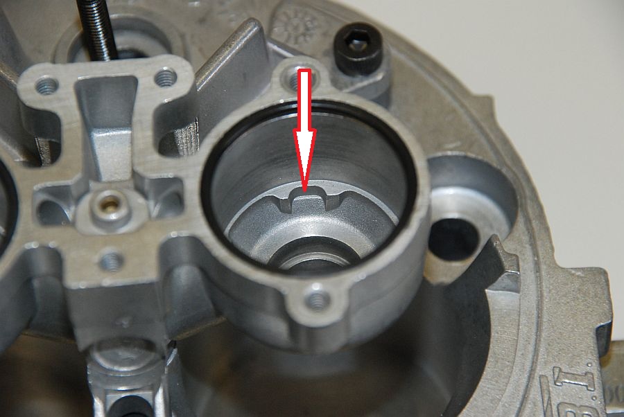 tbiu-40.jpg
