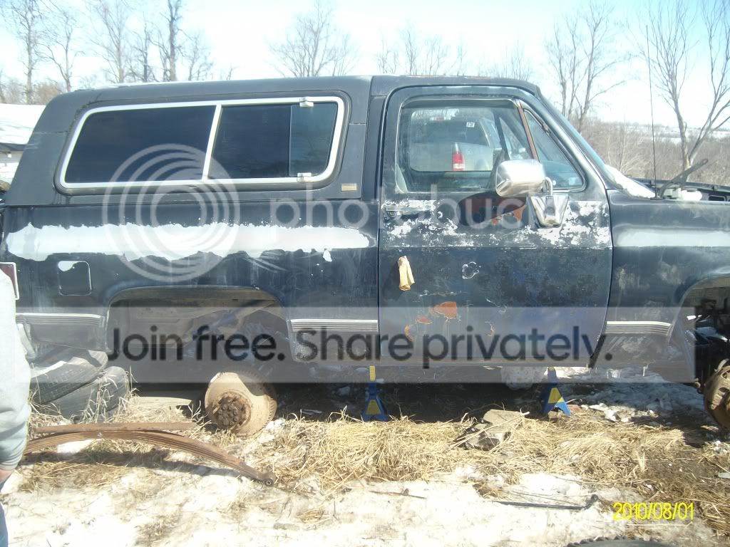 axlesonnoleaves.jpg