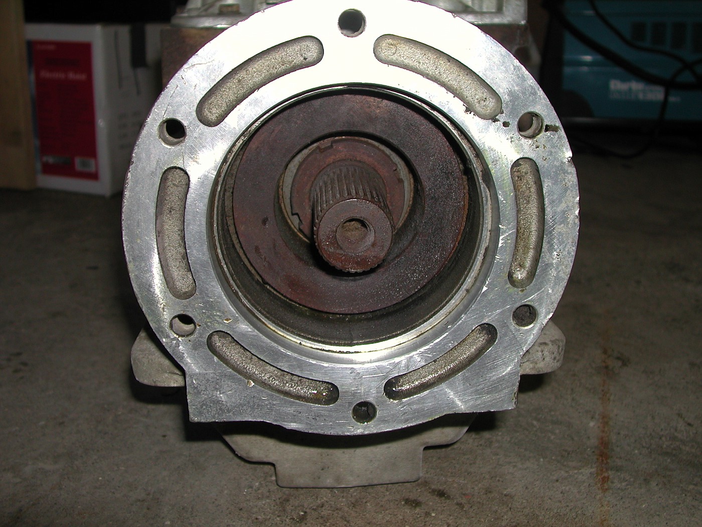 DSCN2981-vi.jpg