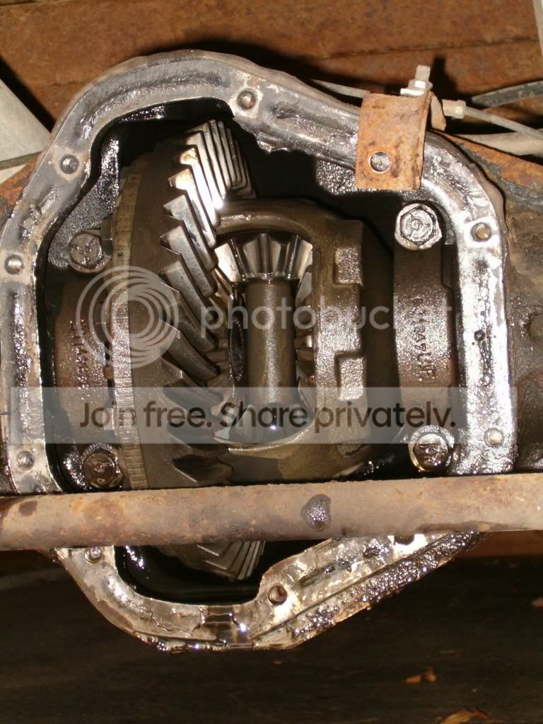 HPIM3559768x1024.jpg