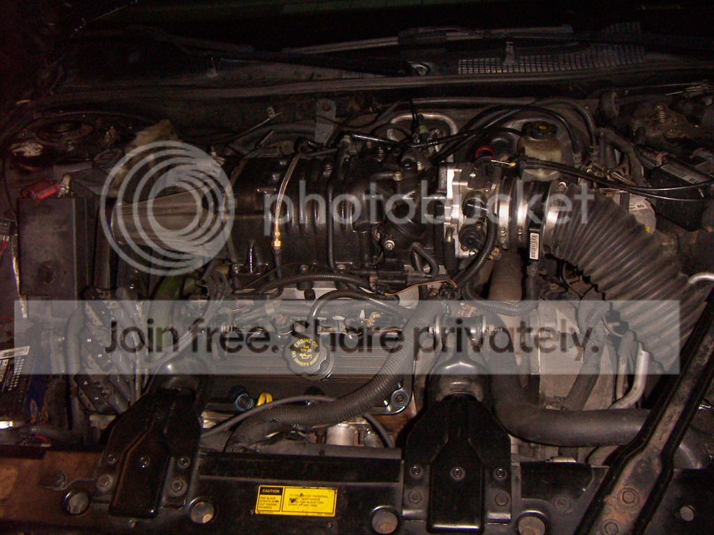 PICT0216.jpg