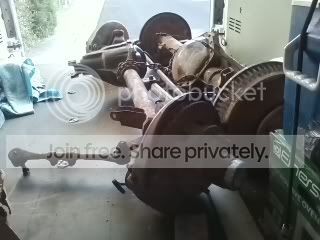 dana6.jpg