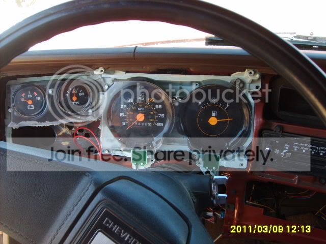S5000273.jpg