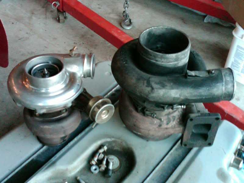 IMG00648-20110220-1754.jpg