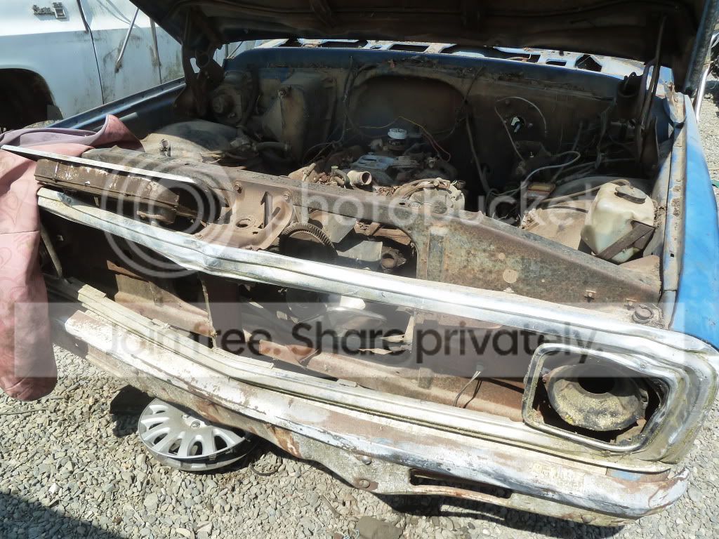 AAA518048.jpg