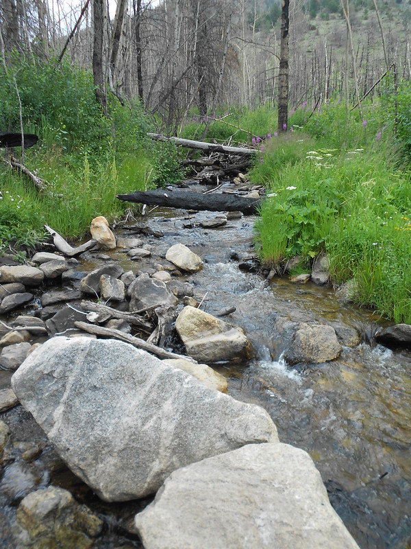 7536688314_e7303a3da6_c.jpg