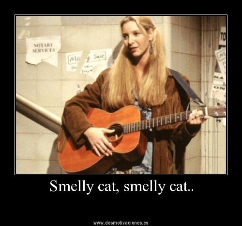 5e3f99cf965dc352684099116a3bcef4--friends-phoebe-friends-tv.jpg
