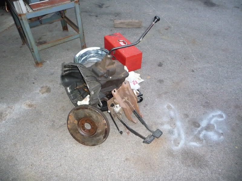 P1000819.jpg