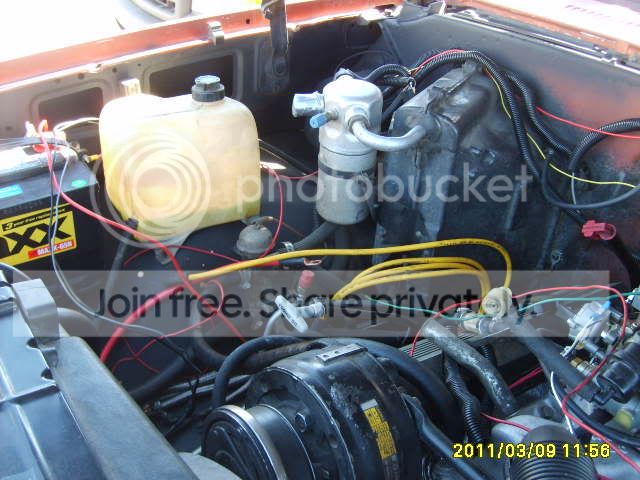 S5000271.jpg