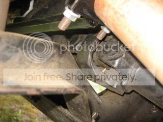 IMG_2285.jpg