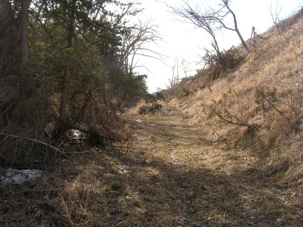 Picture018.jpg