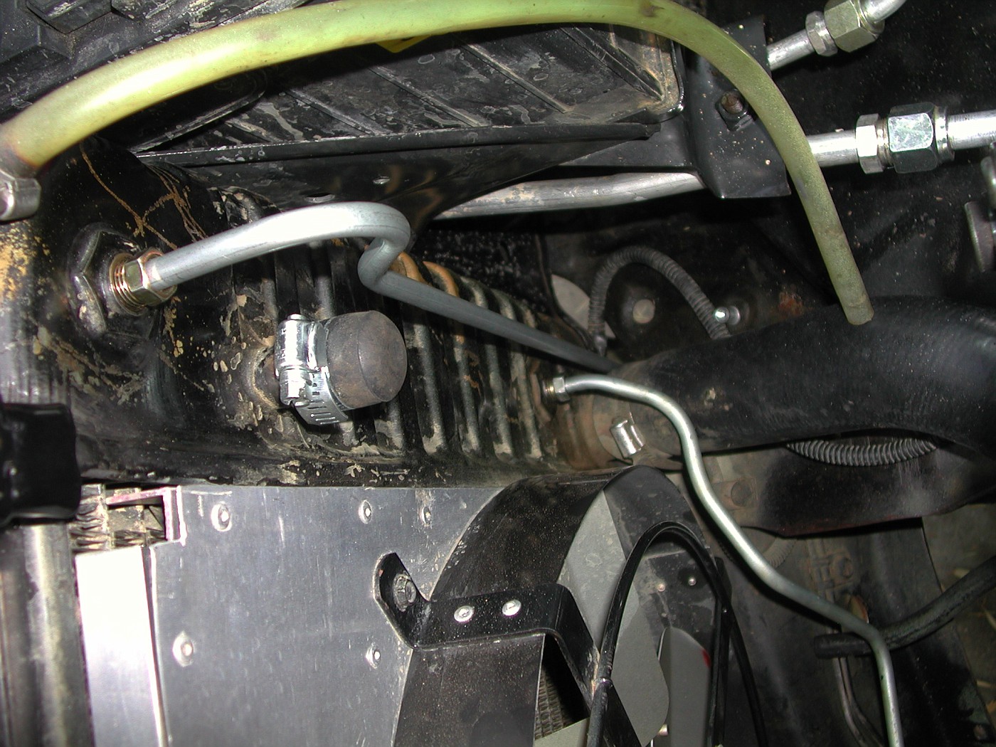 DSCN1495-vi.jpg