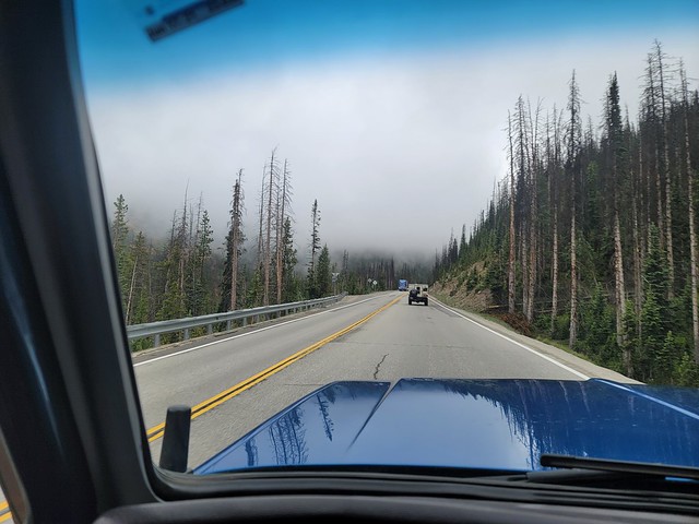 52198775947_09e33acdac_z.jpg