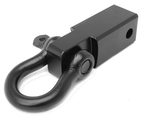 4105SPxSOQL._SY400_.jpg