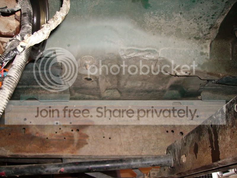 PICT0955.jpg