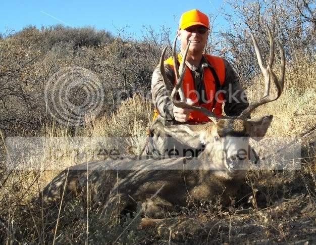 Buck1108.jpg