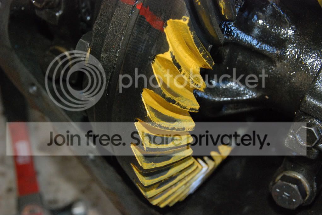 DSC_5412.jpg