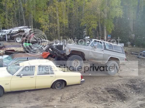 carCrush018600x450.jpg