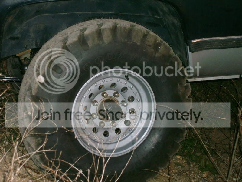 S5000796.jpg