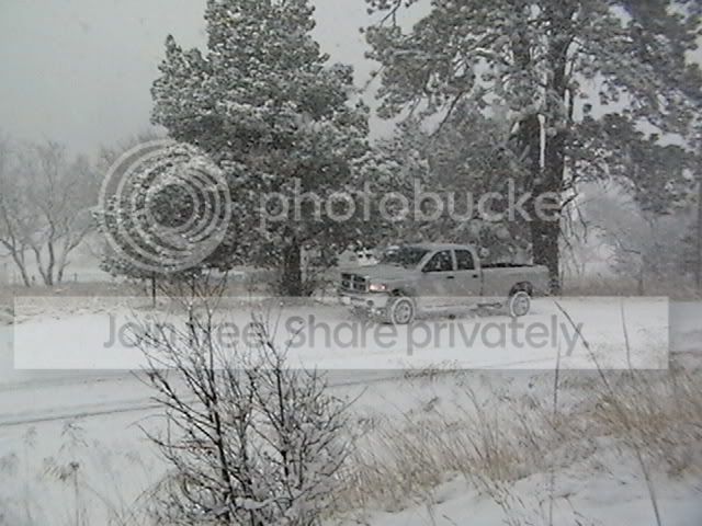 Picture534.jpg