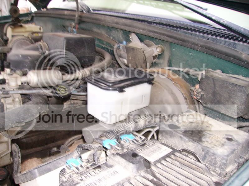 PICT1119.jpg