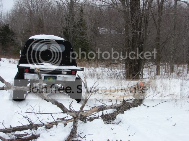 DSC01838_zps9674c84f.jpg