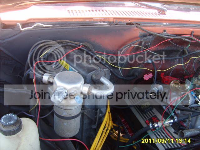 S5000280.jpg