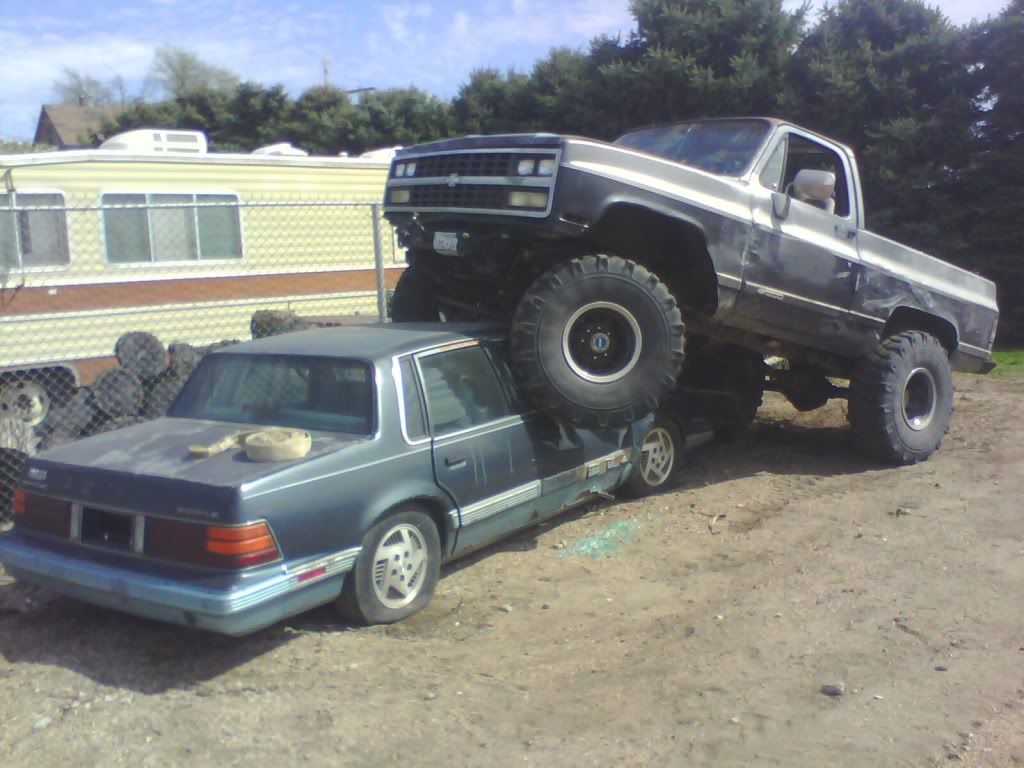 IMG0142A.jpg