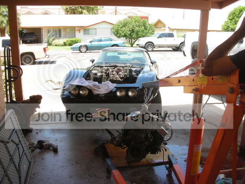 DSCN2567.jpg