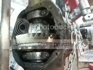 dana44.jpg