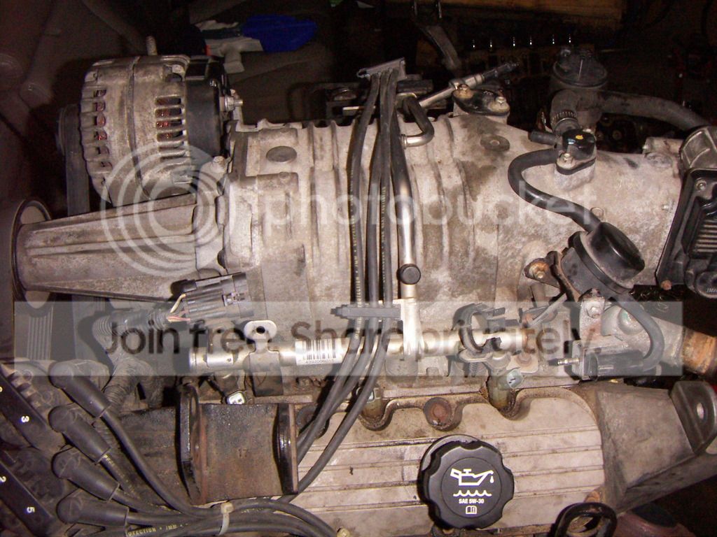 PICT0210.jpg