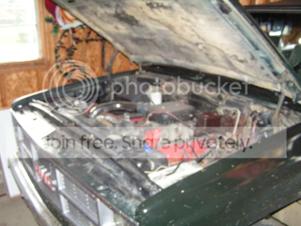 PICT0131.jpg