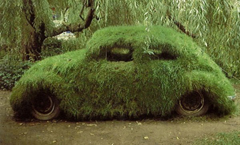 Grass.jpg