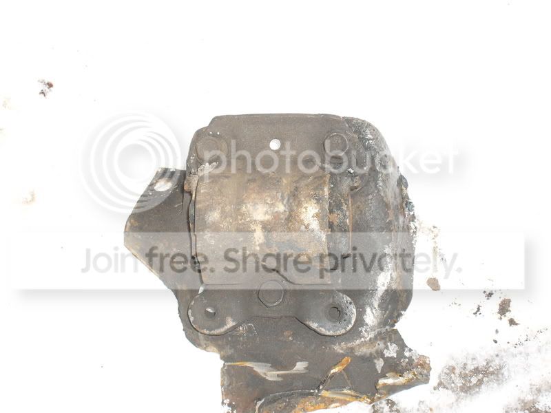 S7300156.jpg