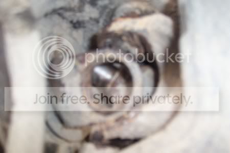 DigitalCam013.jpg