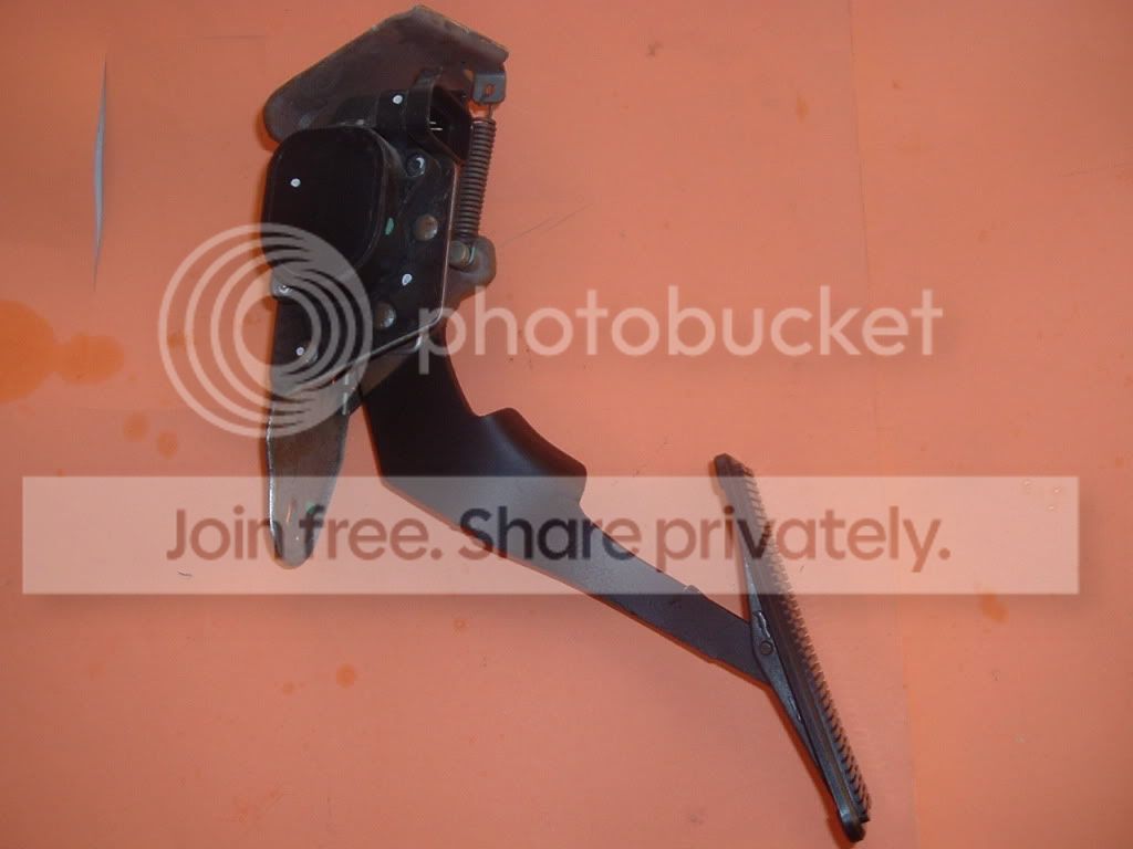 DSCF3564.jpg