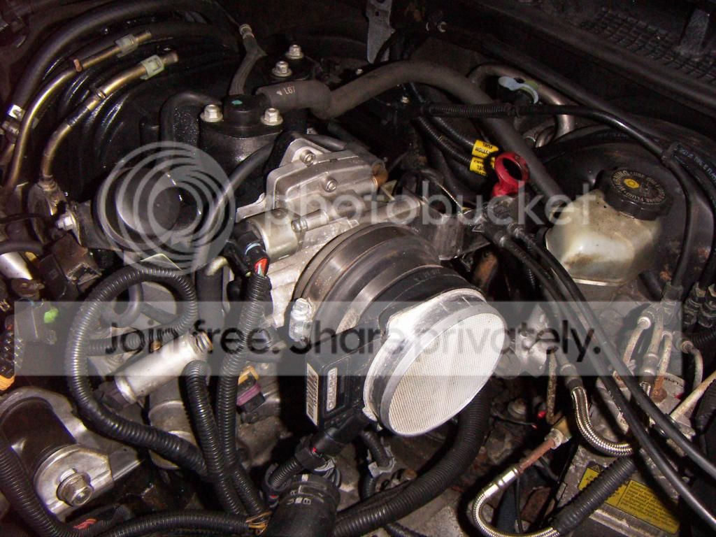 PICT0616.jpg