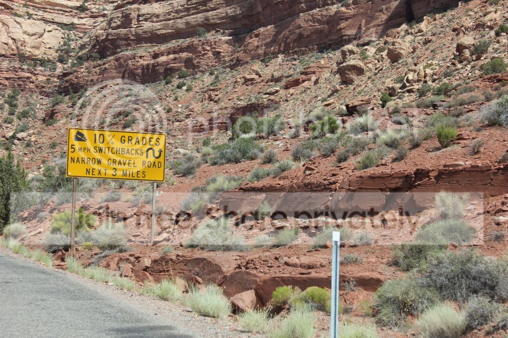 IMG_5215.jpg