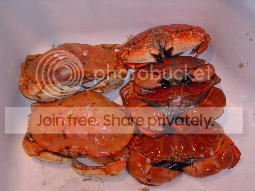 DSC05427.jpg