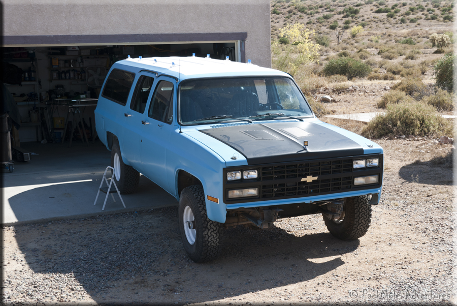mulebody-0028.jpg