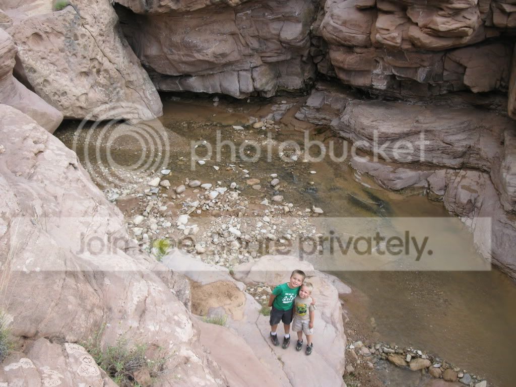 IMG_3452.jpg