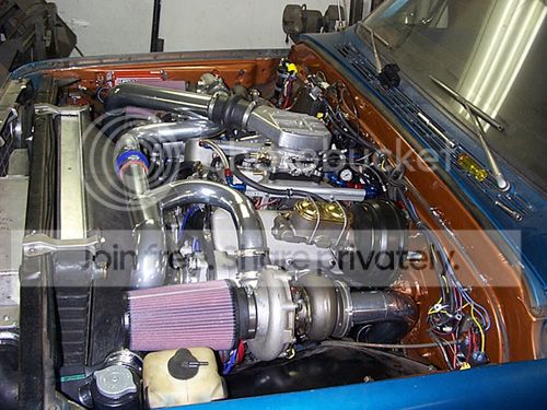 merlin572.jpg