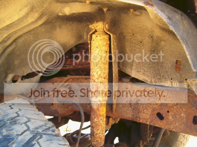 momsflowersjunkyard005.jpg