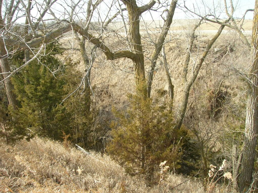 Picture012.jpg