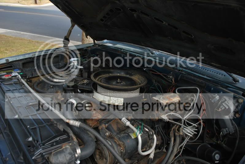 DSC_0011.jpg