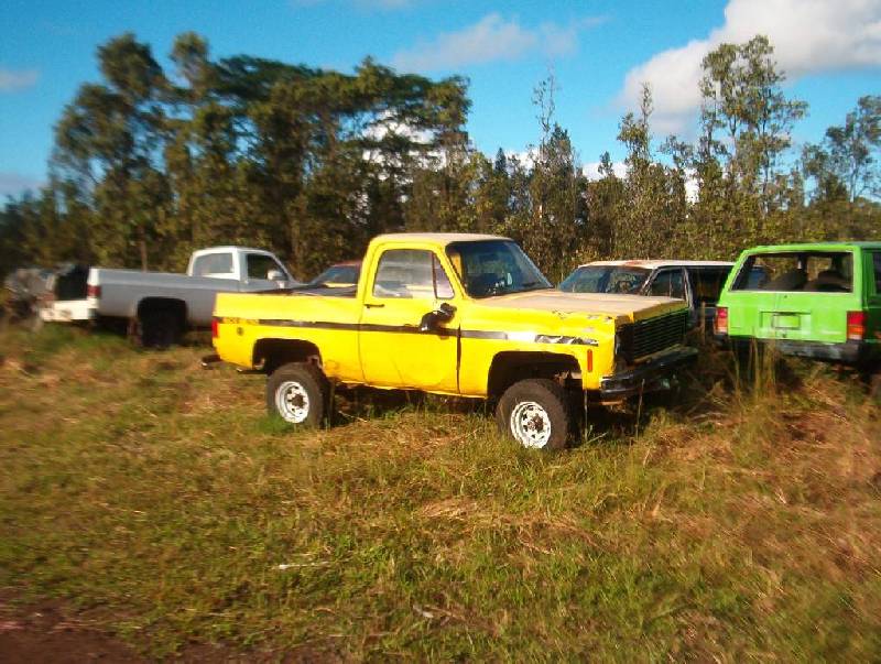 bumper2.jpg
