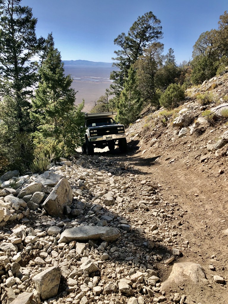 48862868441_22397ae9d1_b.jpg