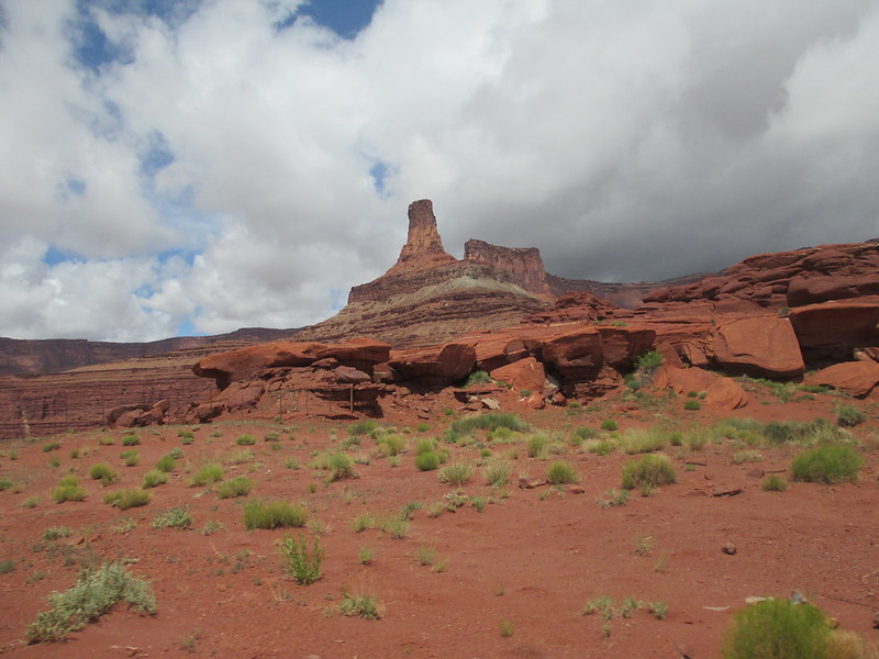 17878706708_e6c35ea469_c.jpg