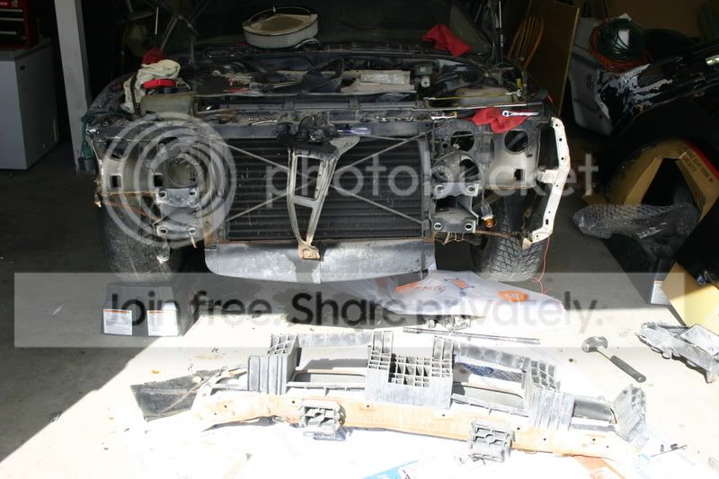 IMG_2905.jpg